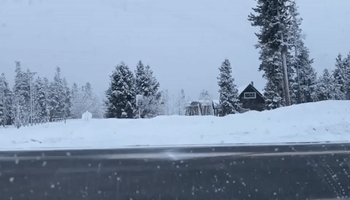 Cold Spell Leaves West Yellowstone National Park Covered in Snow
