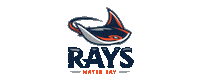 School Rays Sticker by Mater Bay