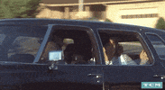 John Waters Drag GIF by Turner Classic Movies
