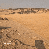 Racing Drifting GIF by FIA World Rally Championship