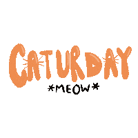 Cats Saturday Sticker