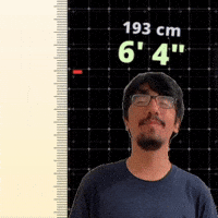 6' 4"