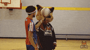 Harlem Globetrotters Fox GIF by Fayetteville Marksmen
