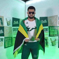 South Florida Horns Up GIF by USF Athletics
