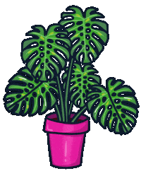 Monstera Deliciosa Plant Sticker