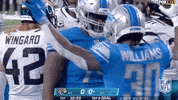 Detroit Lions Football GIF by NFL
