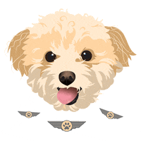 Indiana Customportrait GIF by HeARTs Speak