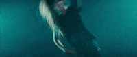 New Music Musicvideo GIF by Andy Grammer