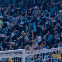 Soccer Celebration GIF by Charlotte FC