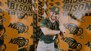 Baseball Bison GIF by NDSU Athletics