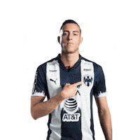 Monterrey Sticker by PUMA