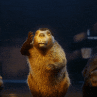 YellaWood shocked surprised diy wood GIF