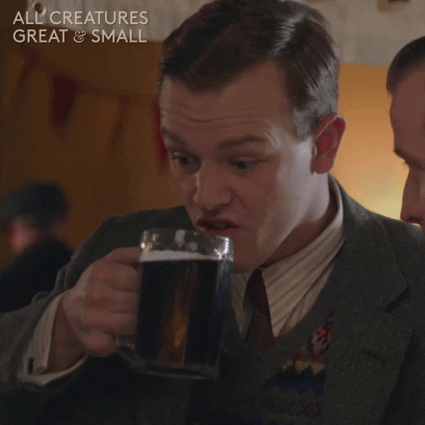 allcreaturestv animals drink beer friday GIF