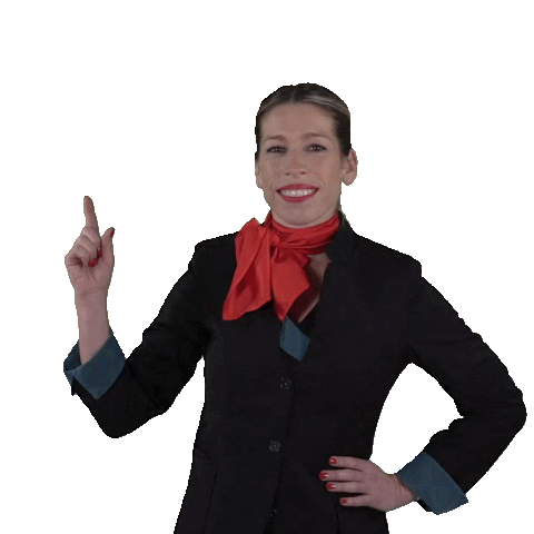 Cabin Crew Plane Sticker by Iberojet