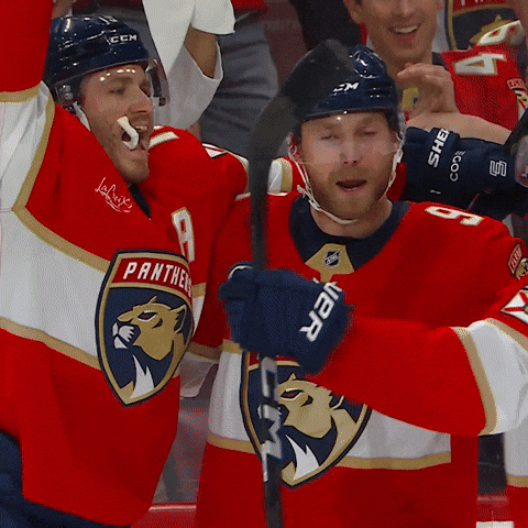 Group Hug Smile GIF by Florida Panthers