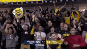 college basketball aehoops GIF by America East