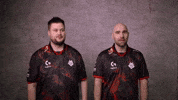 Laugh Laughing GIF by G2 Esports