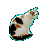 LisaKosmalla jules Sticker