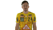 Handball-Bundesliga Handball Sticker by LIQUI MOLY HBL