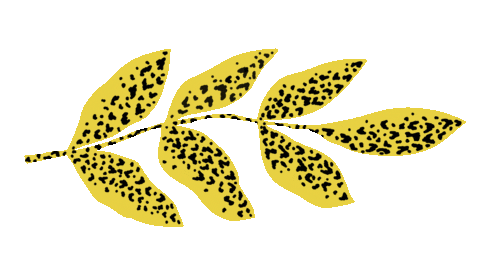 Art Illustration Sticker by IKEA Chile