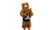 Mascot Pembroke Sticker by UNCP Braves Athletics