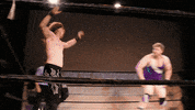 SHWAWrestling perth pro wrestling southern hemisphere wrestling alliance shwa shwa gif GIF
