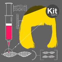 Animation Domination Lol GIF by gifnews