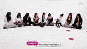 Puppy Interview GIF by BuzzFeed