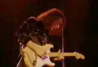 ritchie blackmore GIF