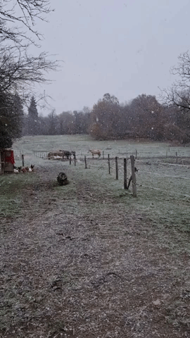 Snowfall Creates Picturesque Wintry Scene at French Equestrian School