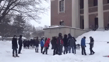 Harvard Students Sled Down Library Steps