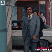 Martial Arts Reaction GIF by Arrow Video