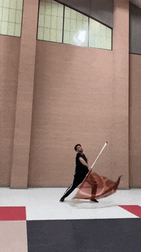 thatguywhospins flag spinning colorguard thatguywhospins GIF