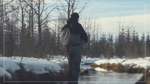 GIF by alberta_conservation