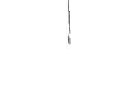 Backing Black All Blacks Sticker by Steinlager