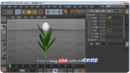 c4d GIF