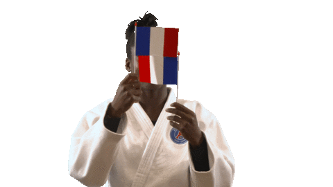France Sport Sticker by Paris Saint-Germain Judo