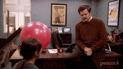 Ron Swanson GIF by Parks and Recreation