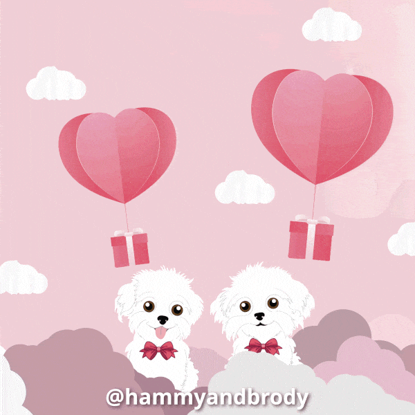 Love You Dogs GIF by HammyandBrody