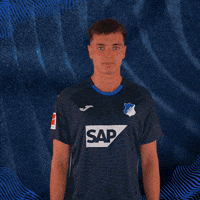 Sport Bundesliga GIF by TSG Hoffenheim