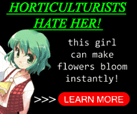 Yuuka Kazami GIF