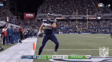 Seattle Seahawks Football GIF by NFL