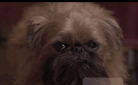 Jack Nicholson GIF