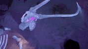 meowwolf meow wolf mastodon meowwolf meow wolf santa fe GIF