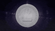 Crypto Coin GIF by Litecoin
