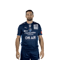 mhbofficiel sport handball psg puma Sticker