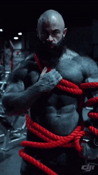 Gym Bear GIF by Database數據