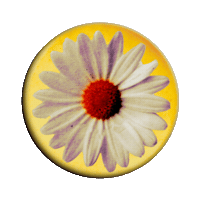Music Festival Daisy Sticker by Olivia Rodrigo