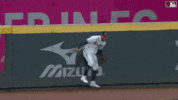 Atlanta Braves Celebration GIF by MLB