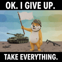 GIF by Doge Pound